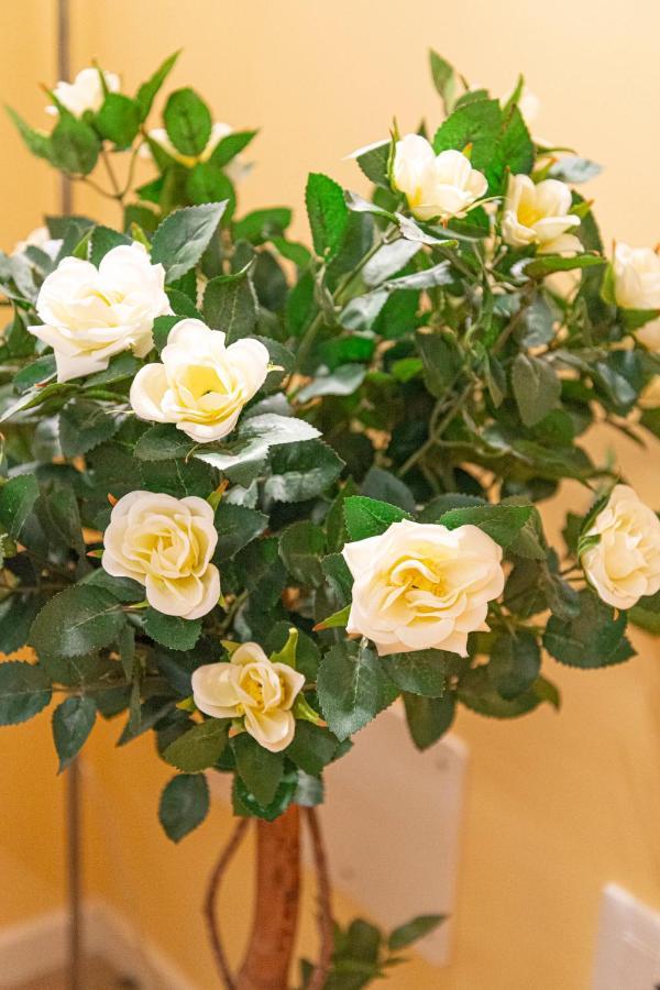 Nina Sweet Home In 威尼斯 外观 照片